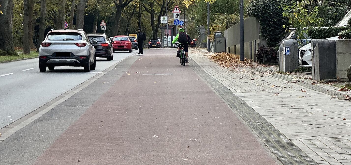 Ludwigsallee frei vom Laub Frisch vom Laub geräumt