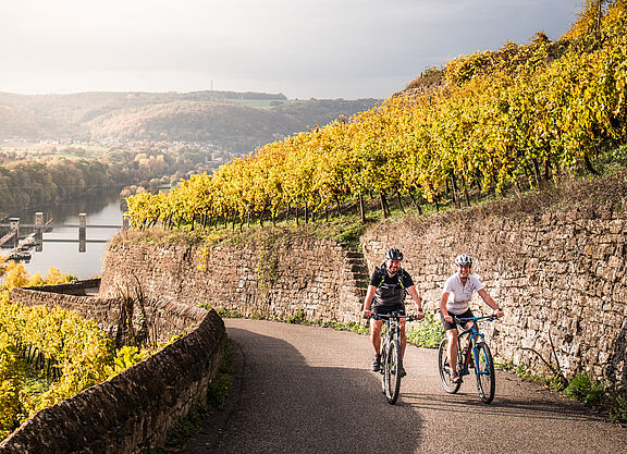 Neckartal-Radweg Burg Hornberg Neckartal-Radweg, zwei Radfahrer auf dem Weg zur Burg Hornberg in den Weinbergen mit Blick ins Neckartal