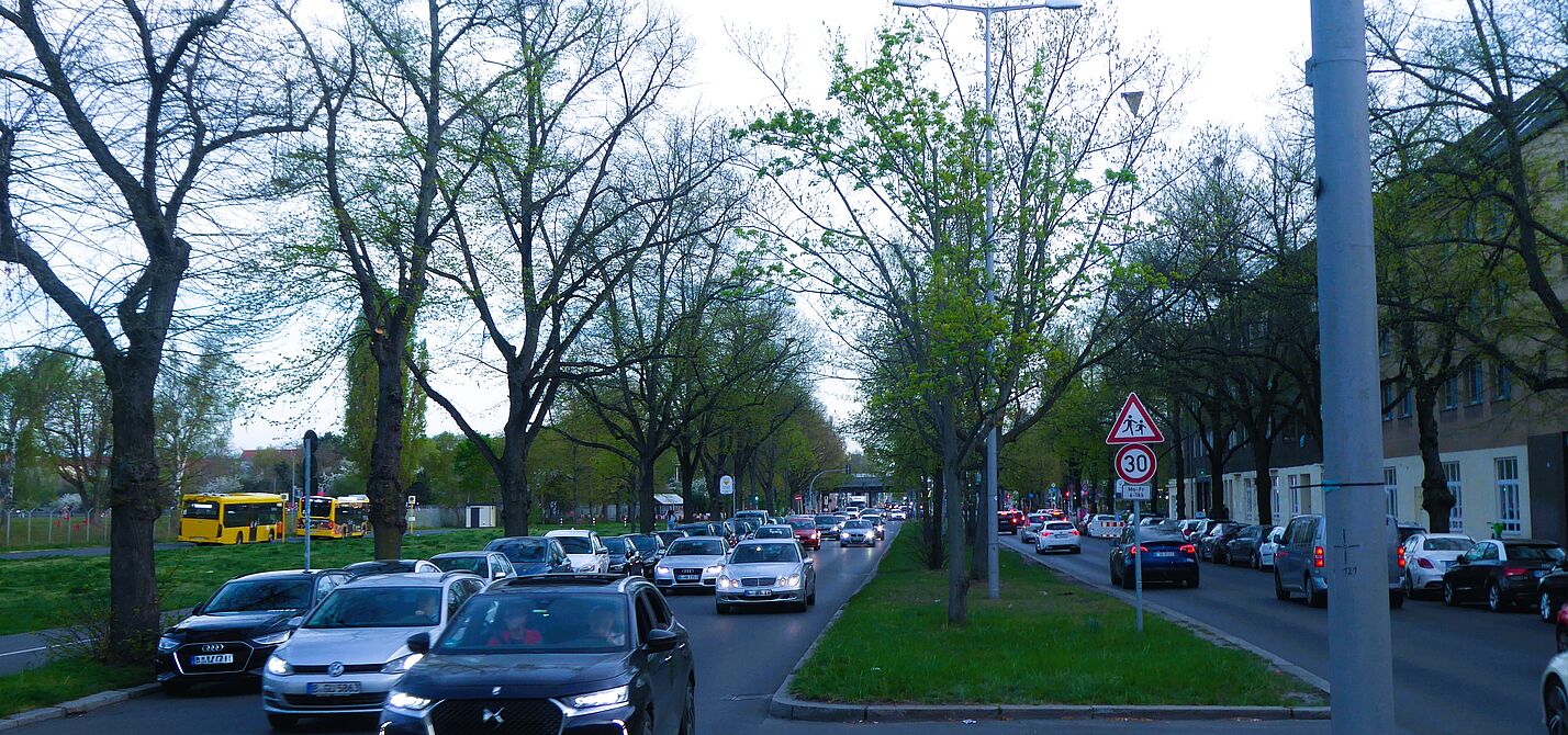 Tempelhofer Damm Richtung Süden, mit Straßenbäumen. Diese Bäume sind durch die Senatsverwaltung SenVMKU von der Fällung bedroht. Foto vom Tempelhofer Damm, vom begrünten Mittelstreifen aus Richtung Süden betrachtet. Rechts und links fahren auf jeweils zwei Fahrspuren Autos. Sowohl auf dem Mitteistreifen als auch am Fahrbahnrand stehen Bäume.