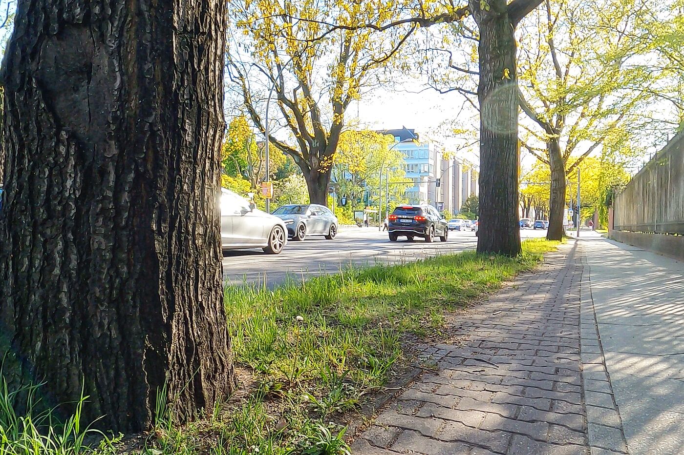 Hochbord_Unter_den_Eichen Ein holpriger Radweg auf dem Hochbord