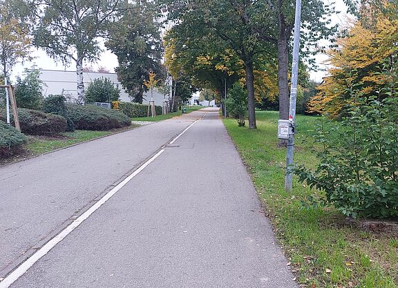 Radverkehrszähler am Hainbuchenweg in Echterdingen Radverkehrszähler am Hainbuchenweg in Echterdingen