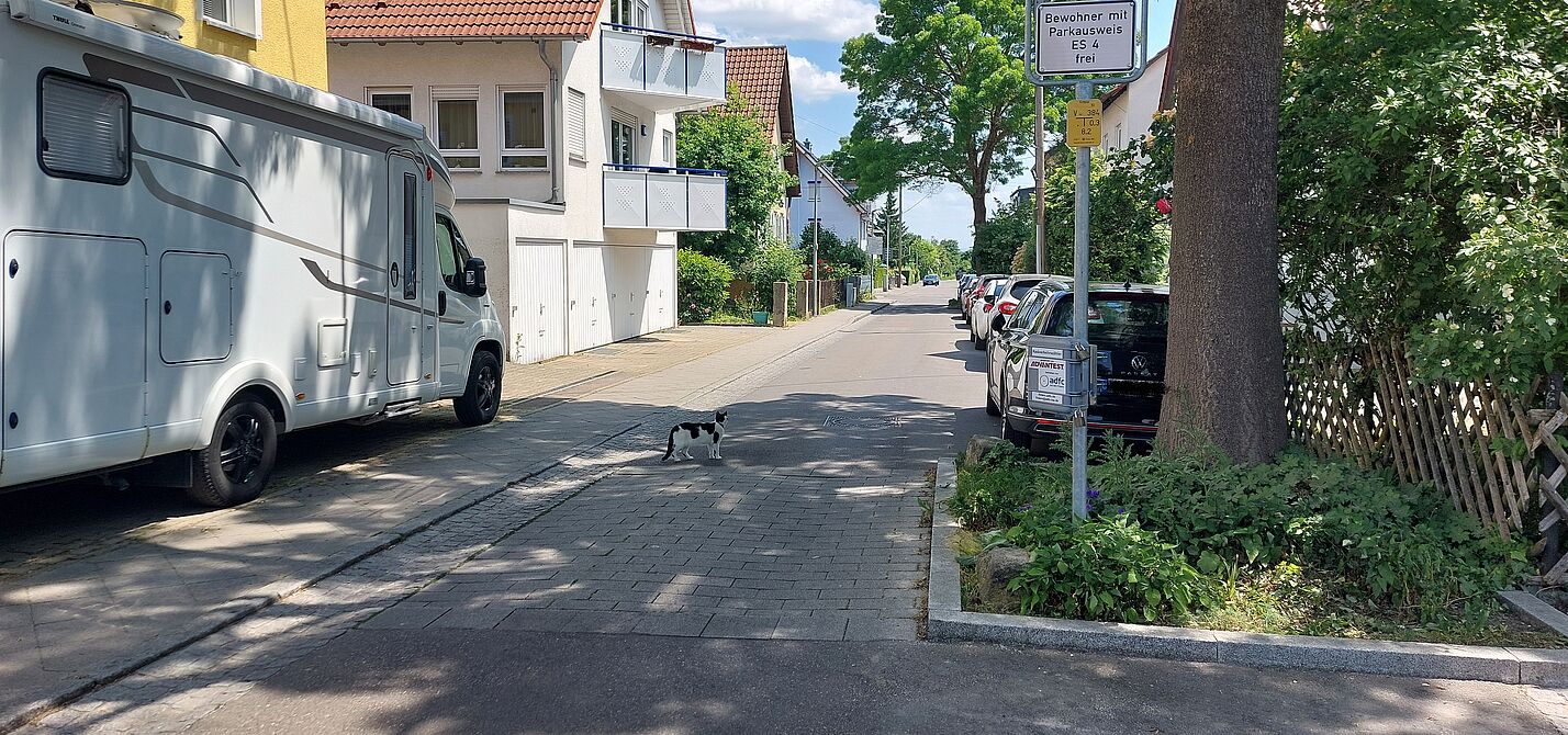 Radverkehrszähler in der Untertorstraße Radverkehrszähler in der Untertorstraße