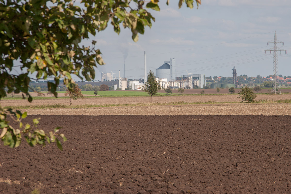 Boerdeblick Clauen, Mehrum