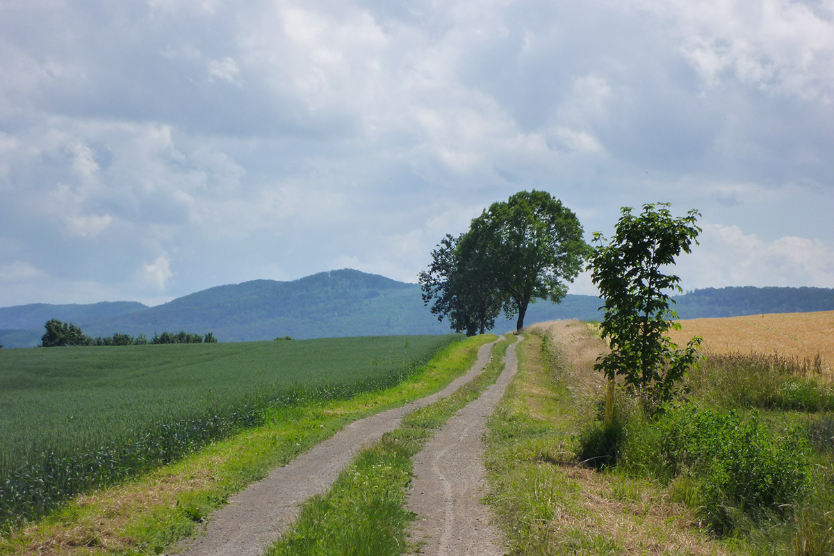 Feldmark hinter Marienau