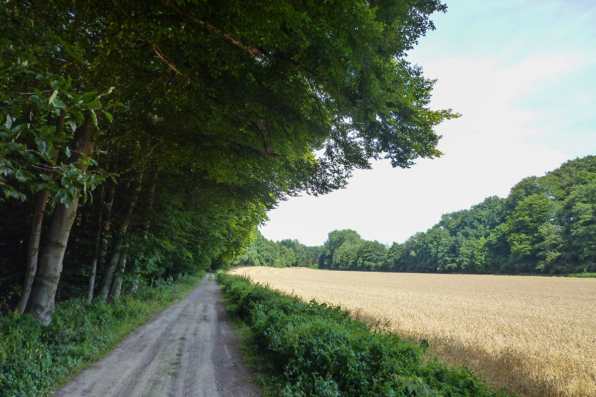 Rohrsen - Remtetal