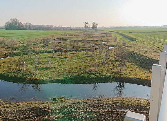 Algermissen Naturschutzgebiet Bild Algermissen Naturschutzgebiet