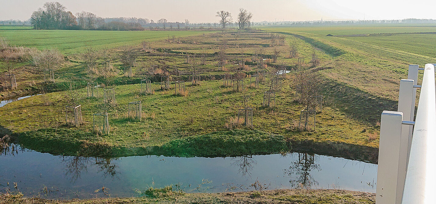 Bild Algermissen Naturschutzgebiet
