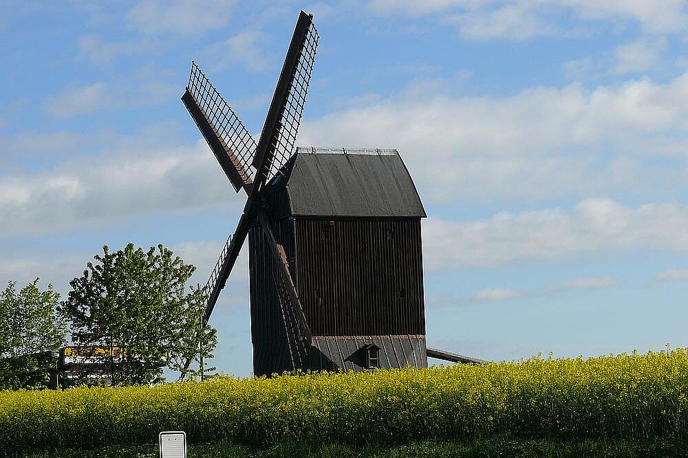 Baltrock Mühle Asel Baltrock Mühle Asel