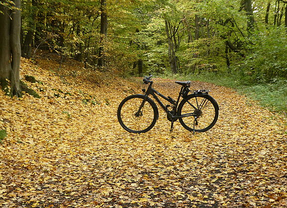 Radfahren im Herbst