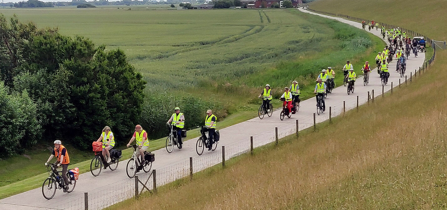 Tag des Fahrrads 2022 - Der Lindwurm am Deich Tag des Fahrrads 2022 - Der Lindwurm am Deich