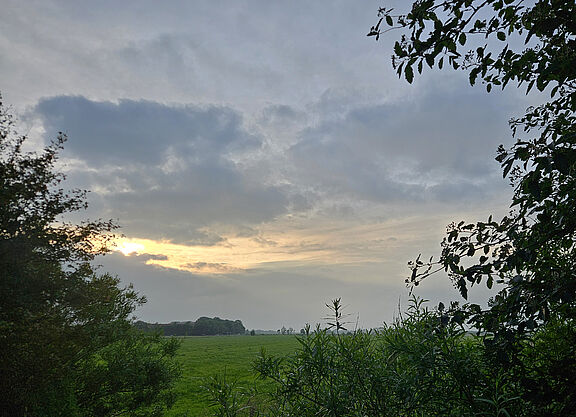 20260617_Allee_B0.jpg