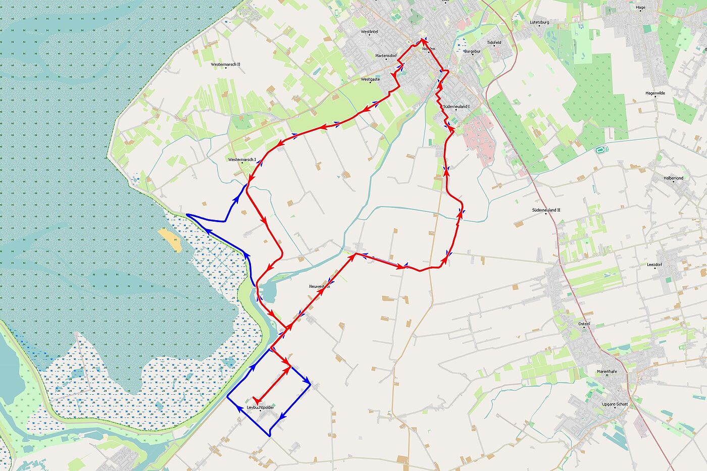20260617_Allee.jpg 20260617_Allee.jpg