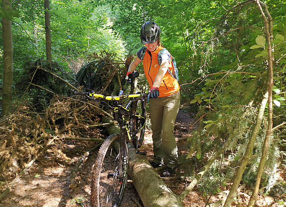 1. MTB-Tour des ADFC Norden 1. MTB-Tour des ADFC Norden