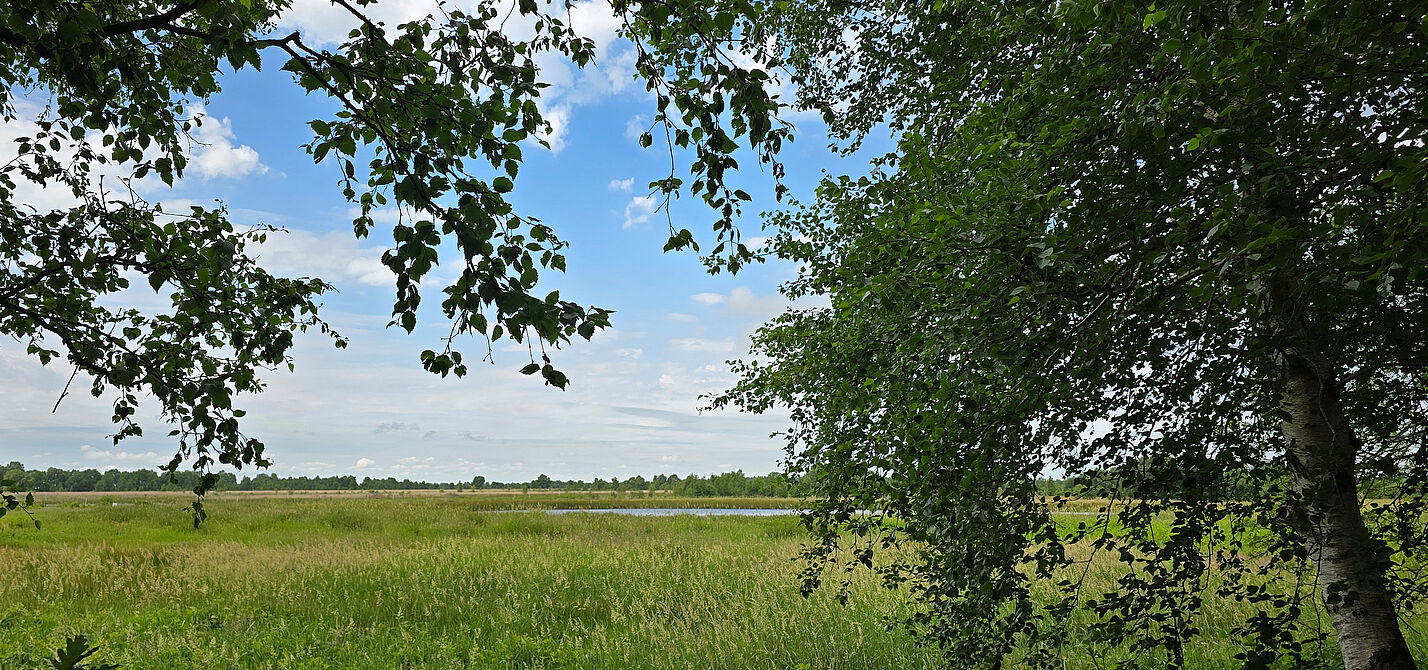 20260621_EwigesMeer_B0.jpg 20260621_EwigesMeer_B0.jpg