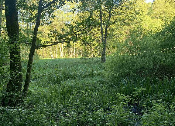 Lambsbachtal Lambsbachtal