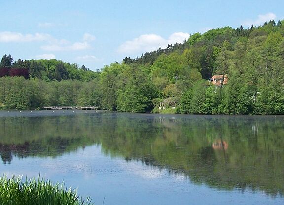 Würzbacher Weiher Würzbacher Weiher