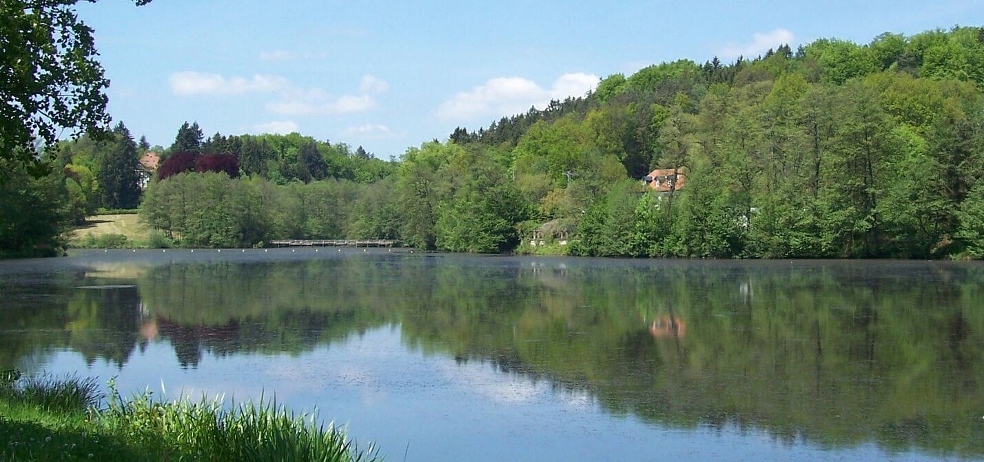 Würzbacher Weiher Würzbacher Weiher