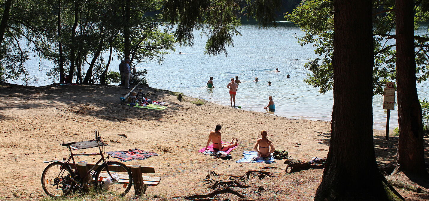 Badestelle am See im Naturpark Lauenburgische Seen im Sommer Badestelle am See im Naturpark Lauenburgische Seen im Sommer