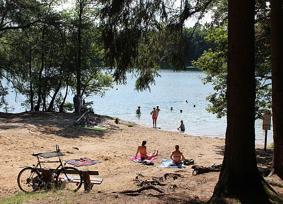 Badestelle am See im Naturpark Lauenburgische Seen im Sommer Badestelle am See im Naturpark Lauenburgische Seen im Sommer