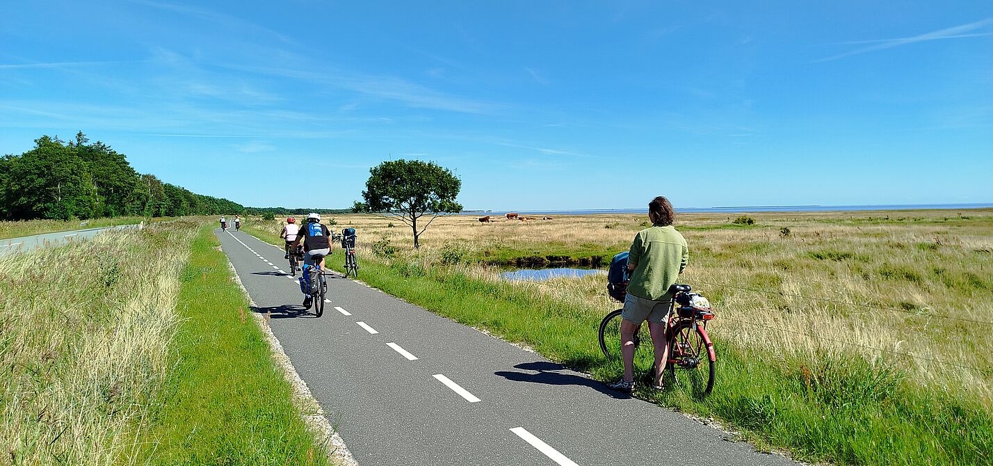 Radweg auf der Insel Laesoe