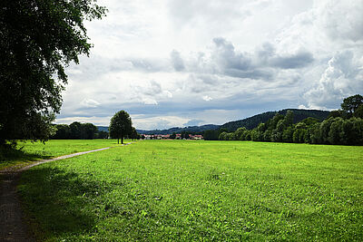 Weg von Schleusingen nach Rappelsdorf