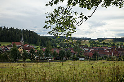 Blick auf Widersbach