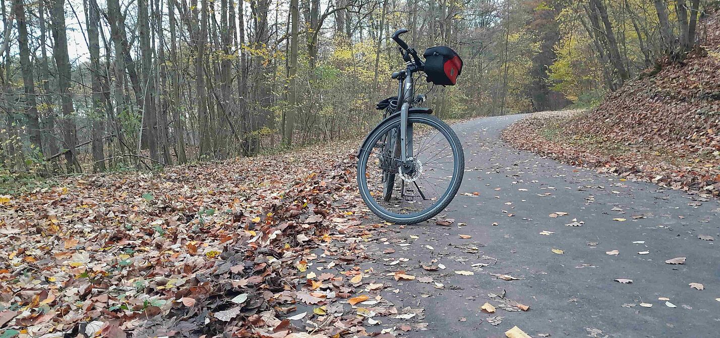 Gekehrter Siebenborn Am Siebenborn wird gekehrt. Keine Blätter mehr, und auch keine Sturzgefahr per Rad im Herbst.