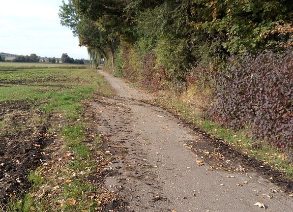 Radweg Vilgensee