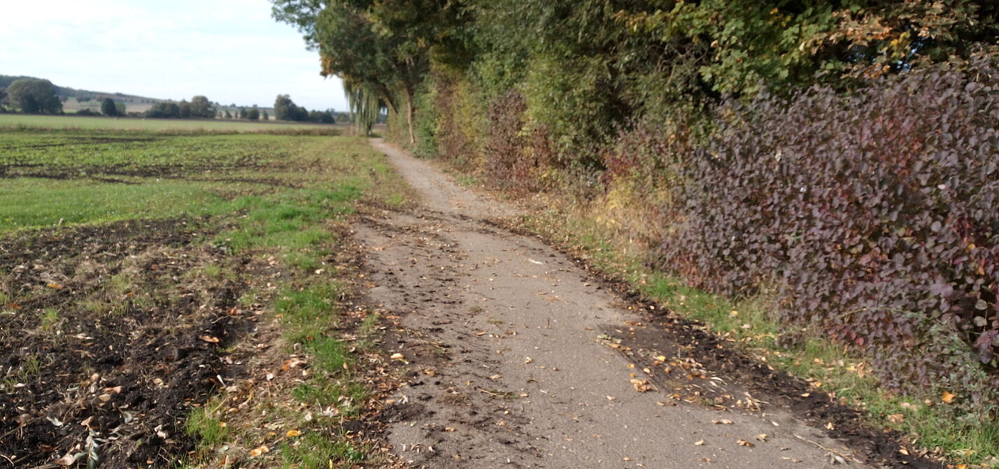Radweg Vilgensee Radweg Vilgensee
