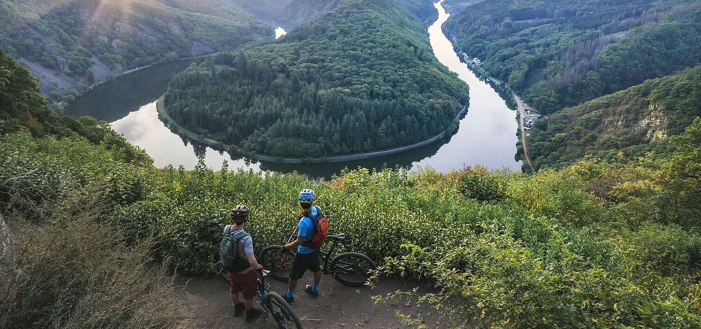 Aussicht auf die Saarschleife