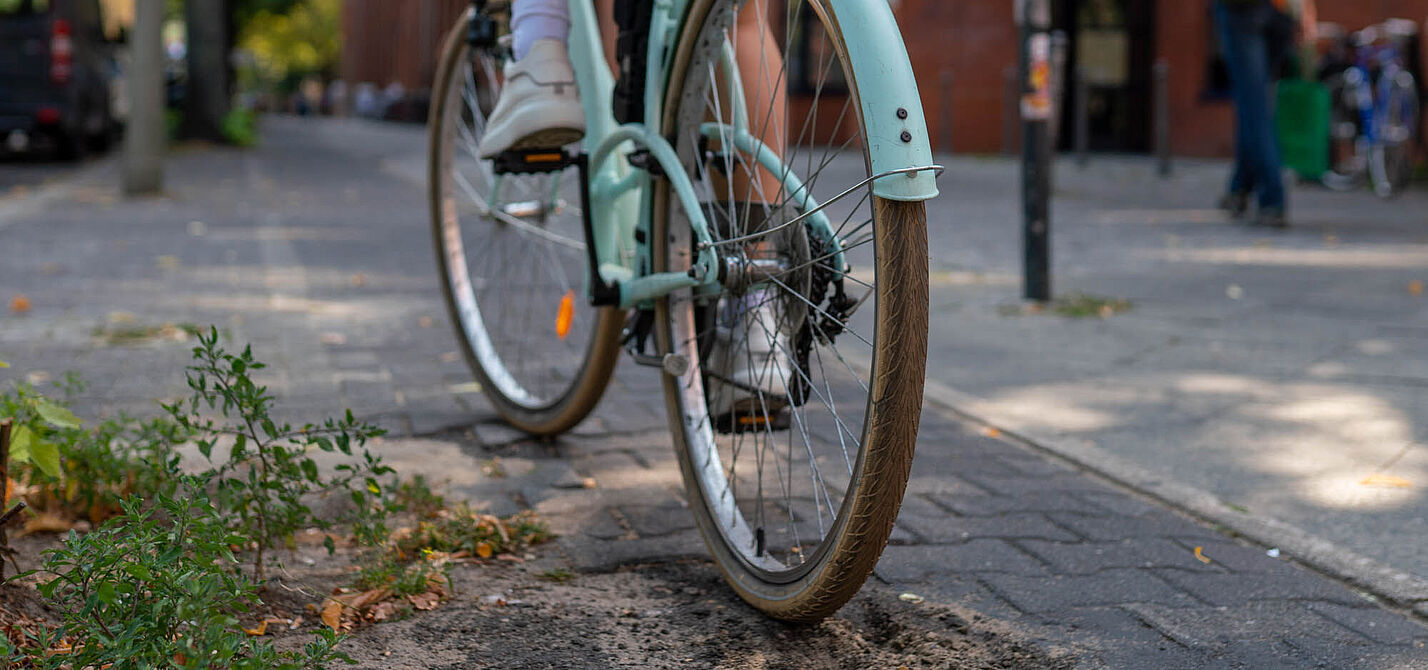 Ein Fahrrad fährt über einen holprigen Radweg.