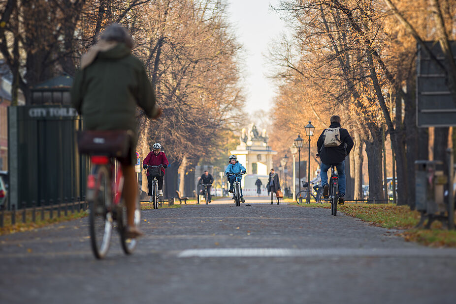 Warme Sonnenstrahlen und bunte Blätter machen das Herbstradeln besonders.