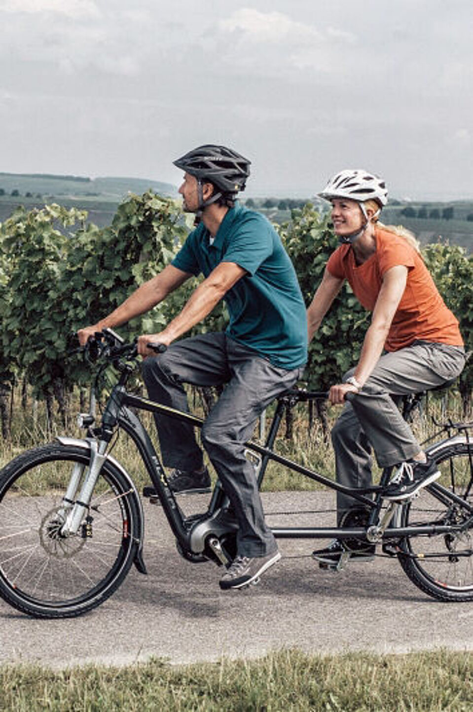 Tandemfahrrad  Ein Tandemfahrrad mit zwei Personen fährt auf einem asphaltierten Weg entlang eines Weinbergs.