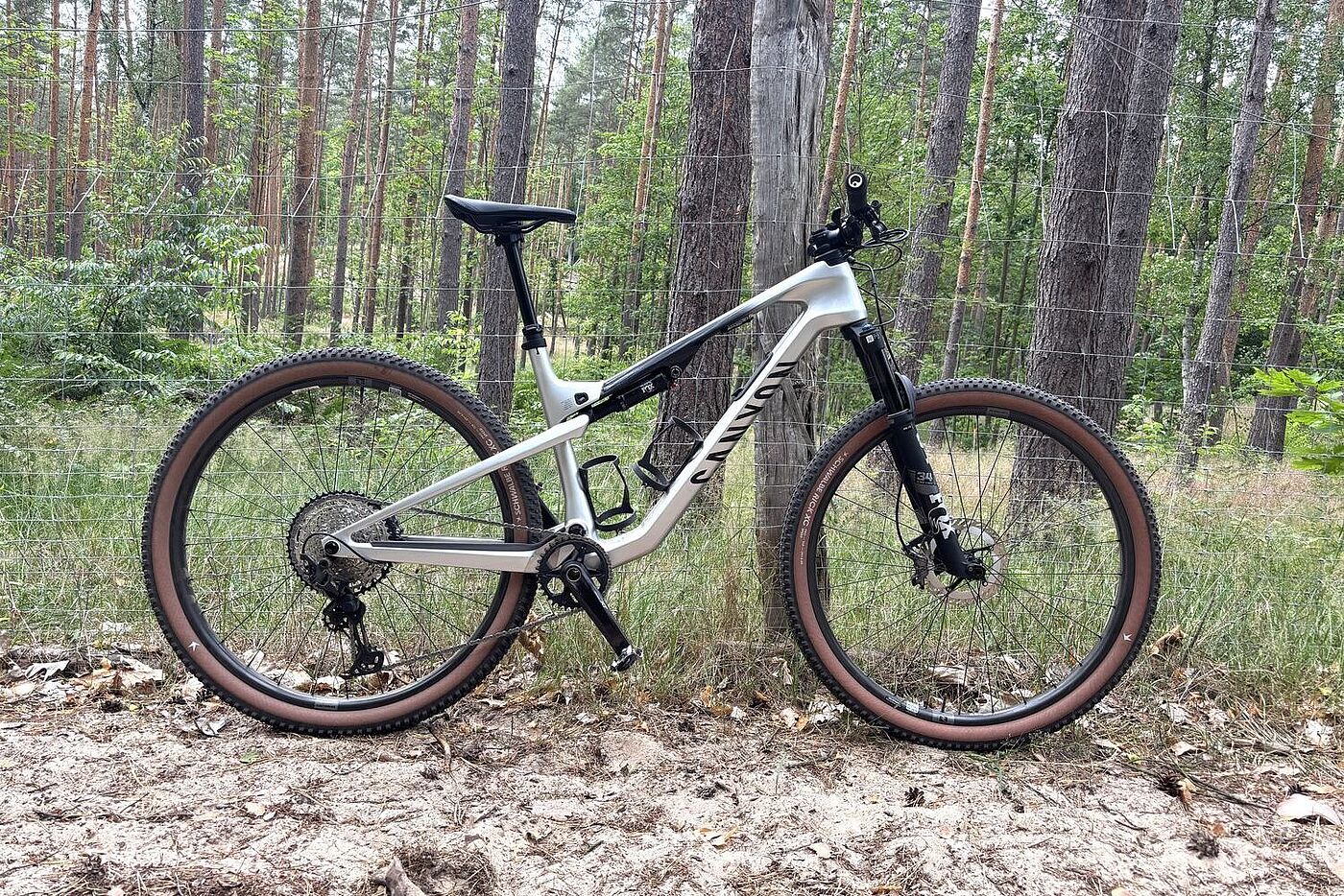 Das Mountianbike Canyon Lux Trail CF 8 steht im Wald auf sandigem Untergrund an einem Drahtzaun. 