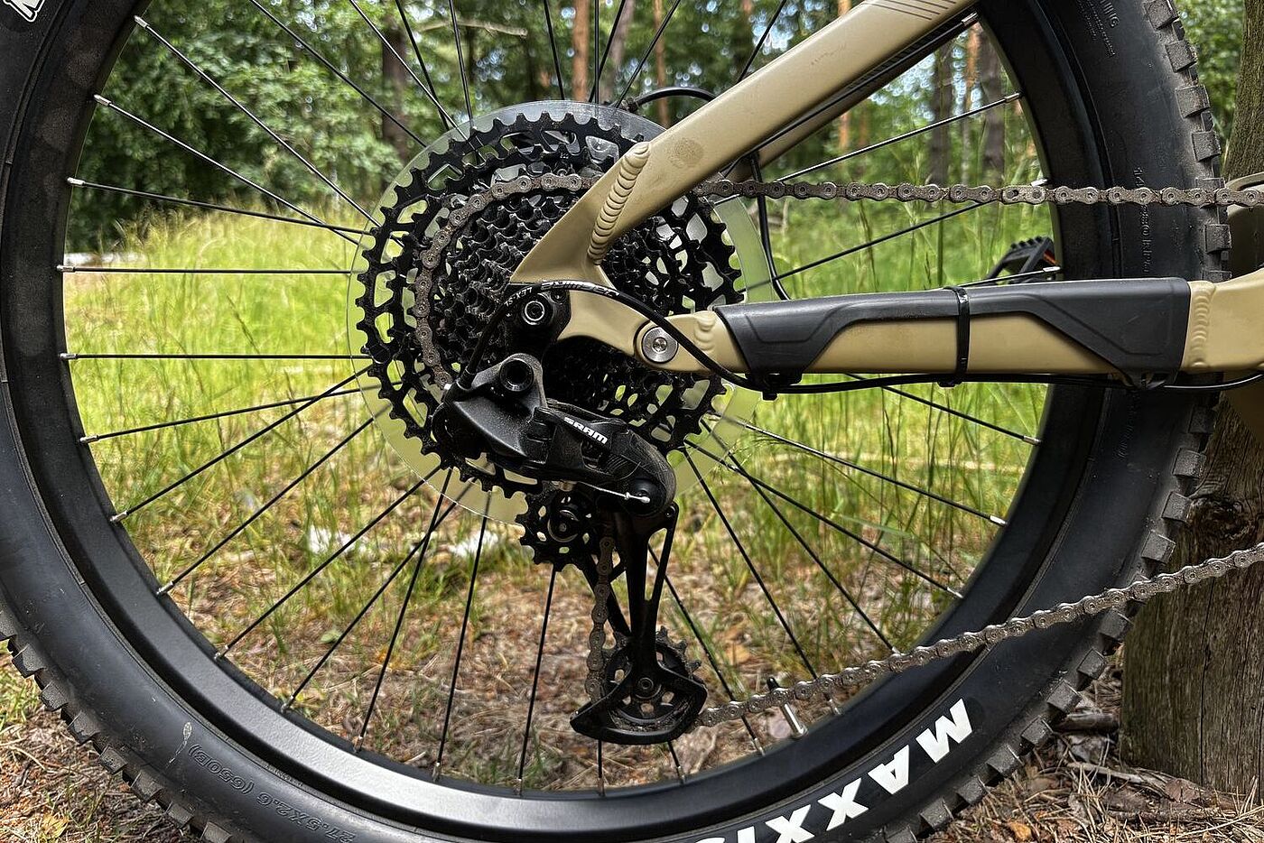 Schaltung Hinterer Teil eines MTB mit Schaltung, Motor und Hinterrad.