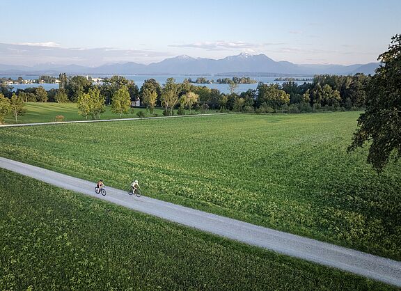 Zwei Personen fahren auf einem Radweg durch eine grüne Wiesenlandschaft.