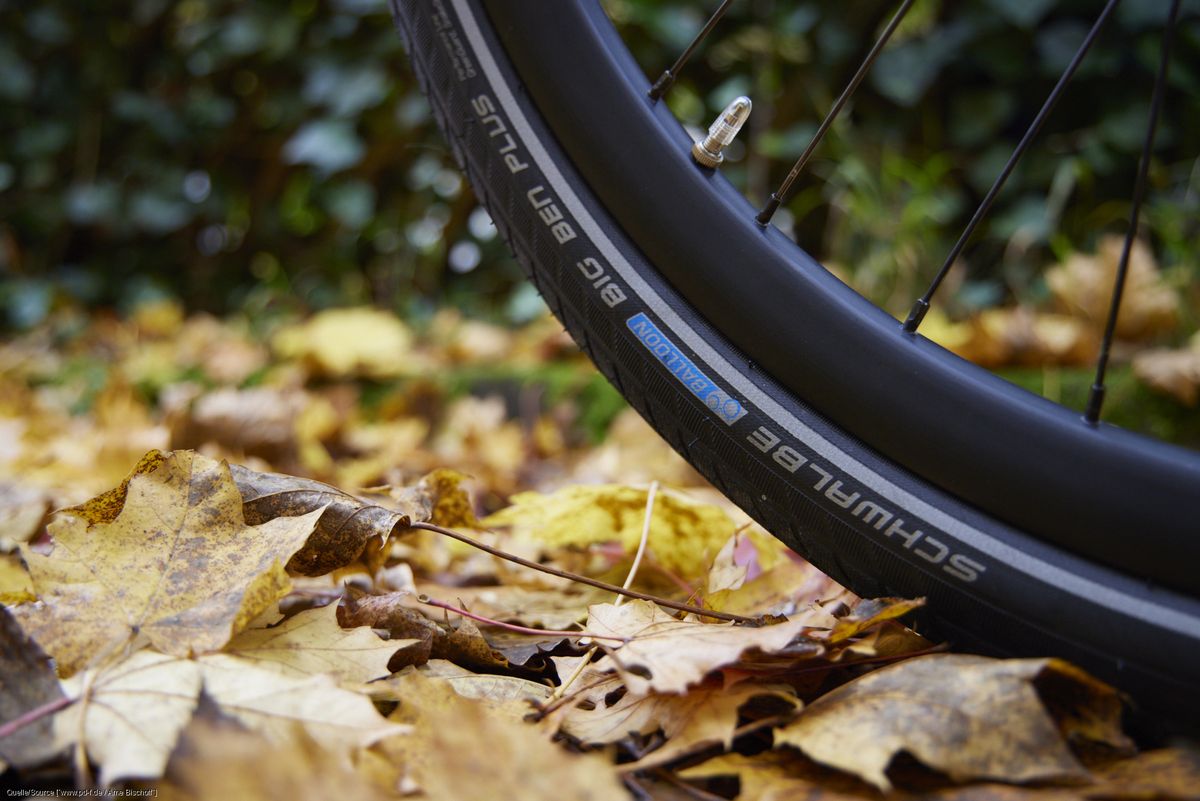 Großaufnahme eines Fahrradreifens, der auf Laub steht. 