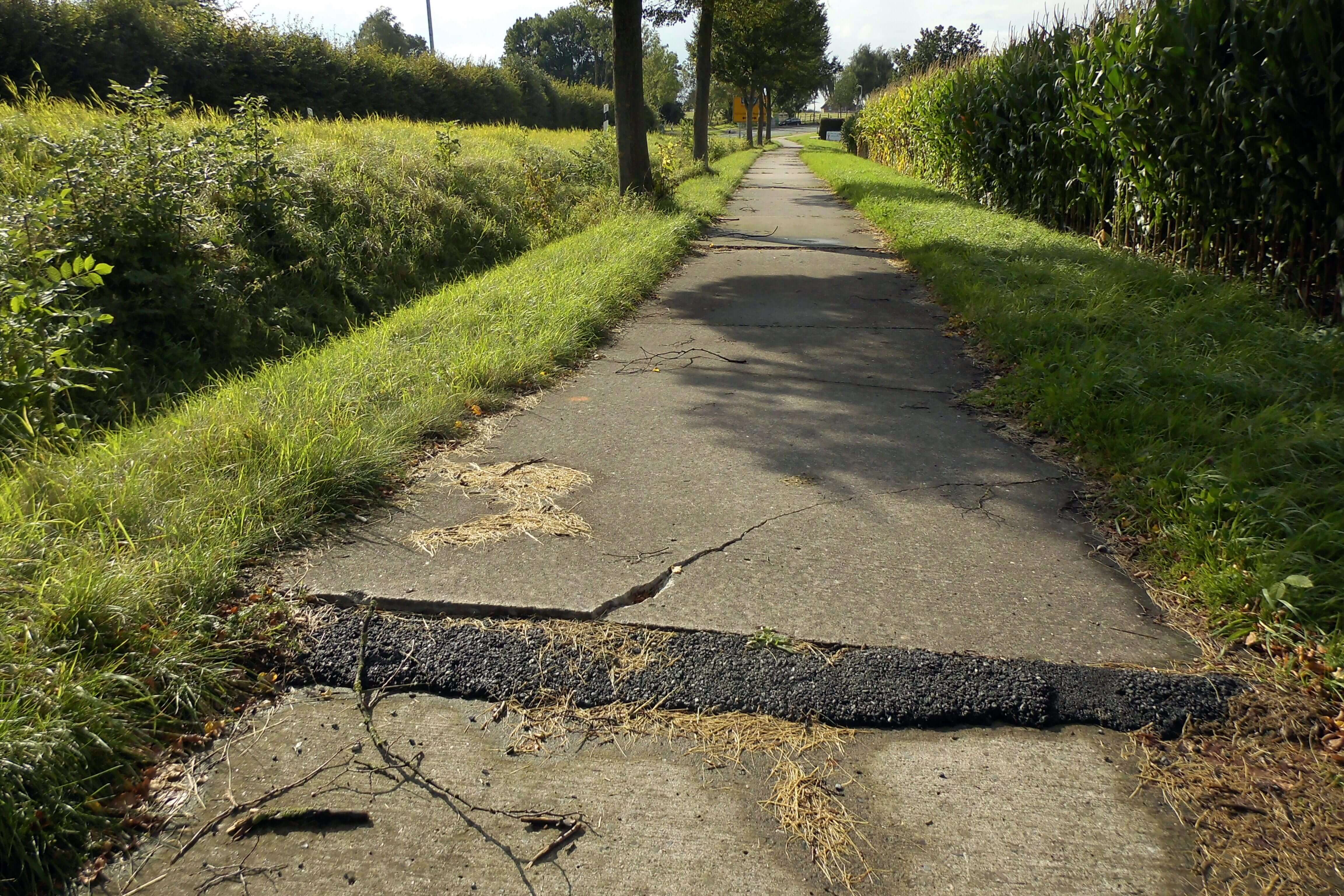 Beschädigter Radweg