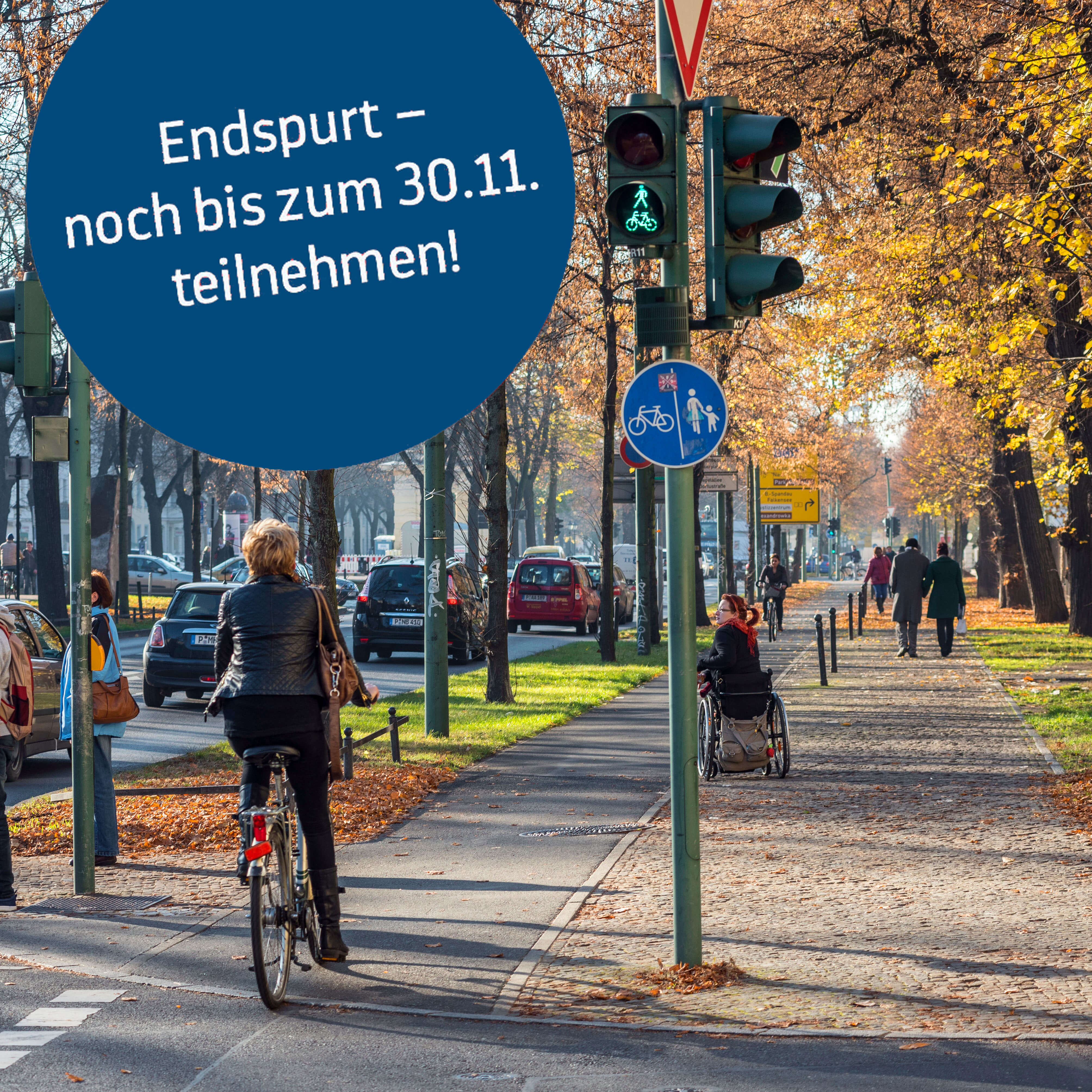 Nerbst herbstlichen Bäumen verläuft ein Radweg, auf dem eine Person fährt