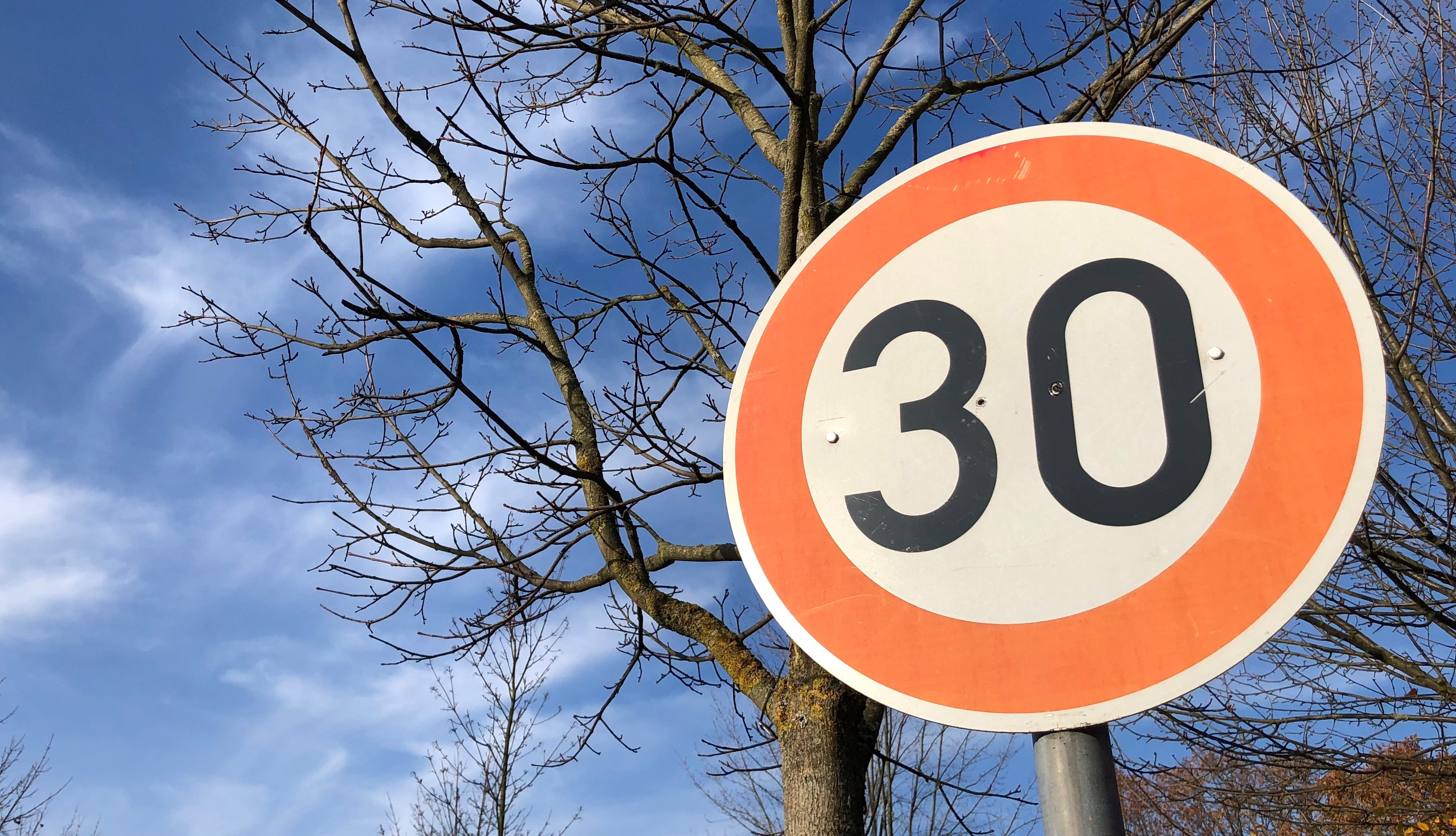 Schild Tempo 30 mit Baum im Hintergrund